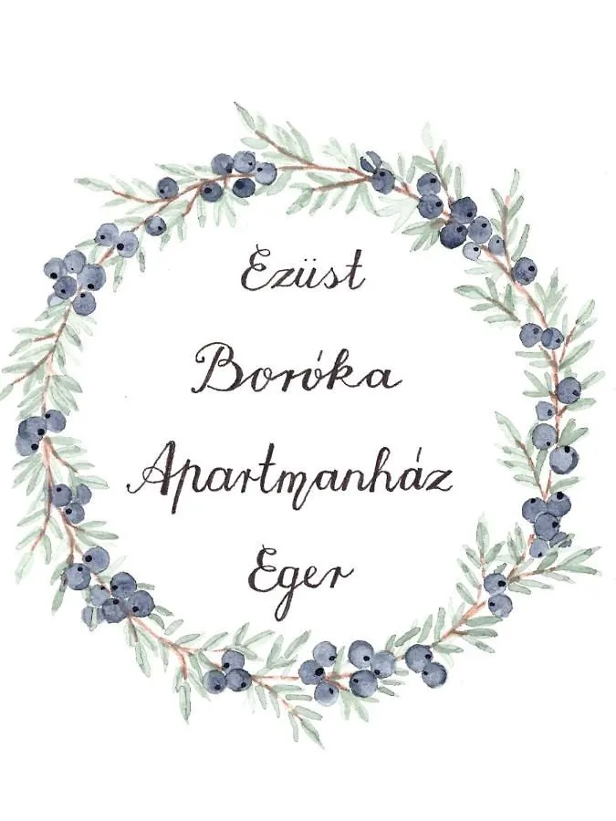 Ezuest Boroka Apartman Eger 0*,